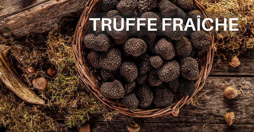 ACHETER DE LA TRUFFE FRAÎCHE